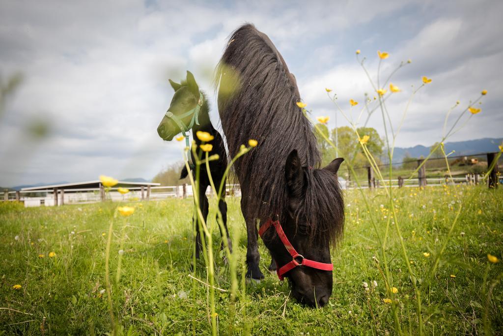 Agriturismo Jesson Rosamund Cantù Eksteriør bilde
